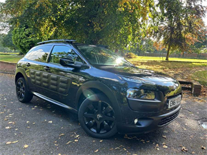 C4 Cactus